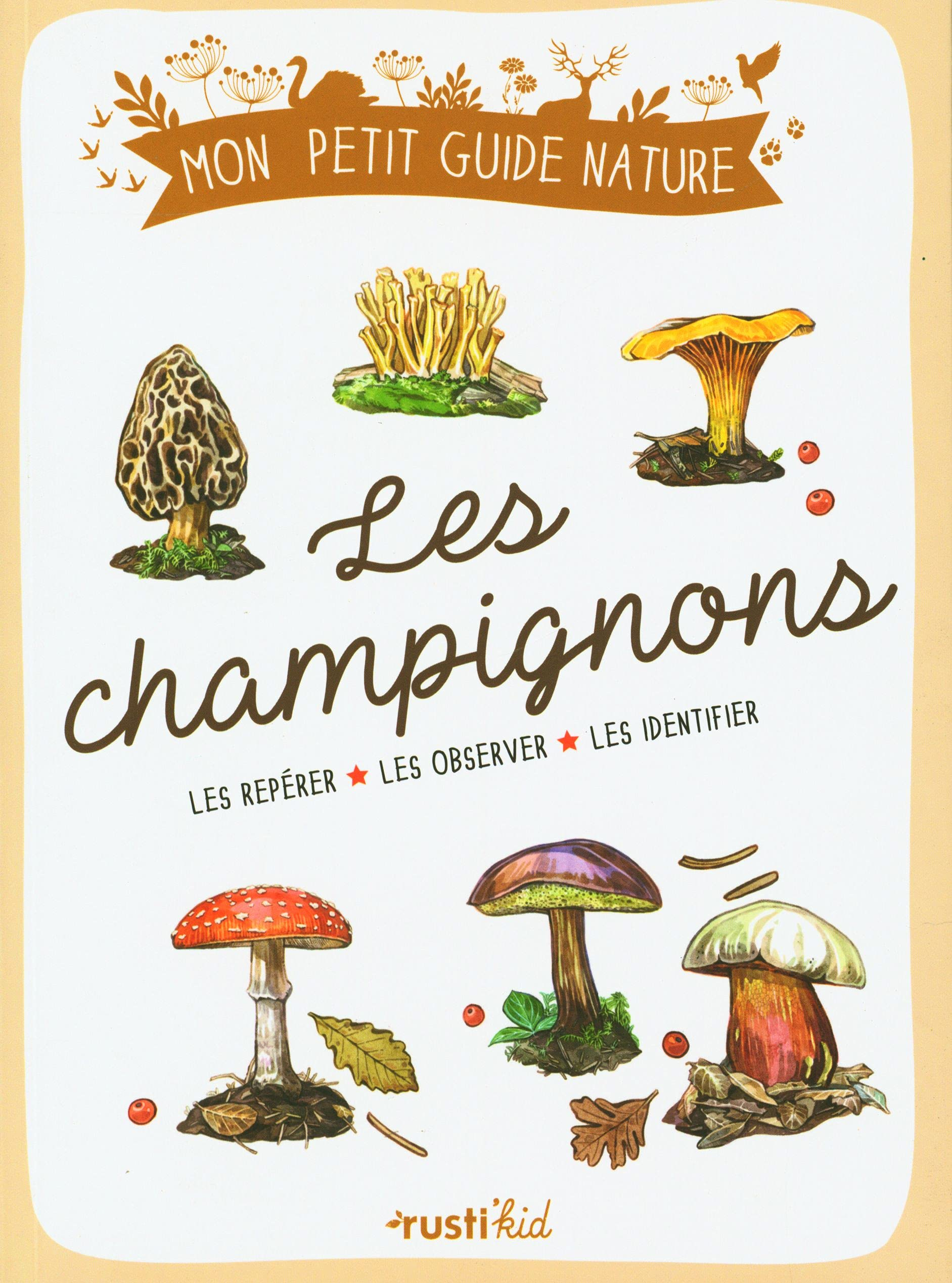 Les champignons : les repérer, les observer, les identifier
