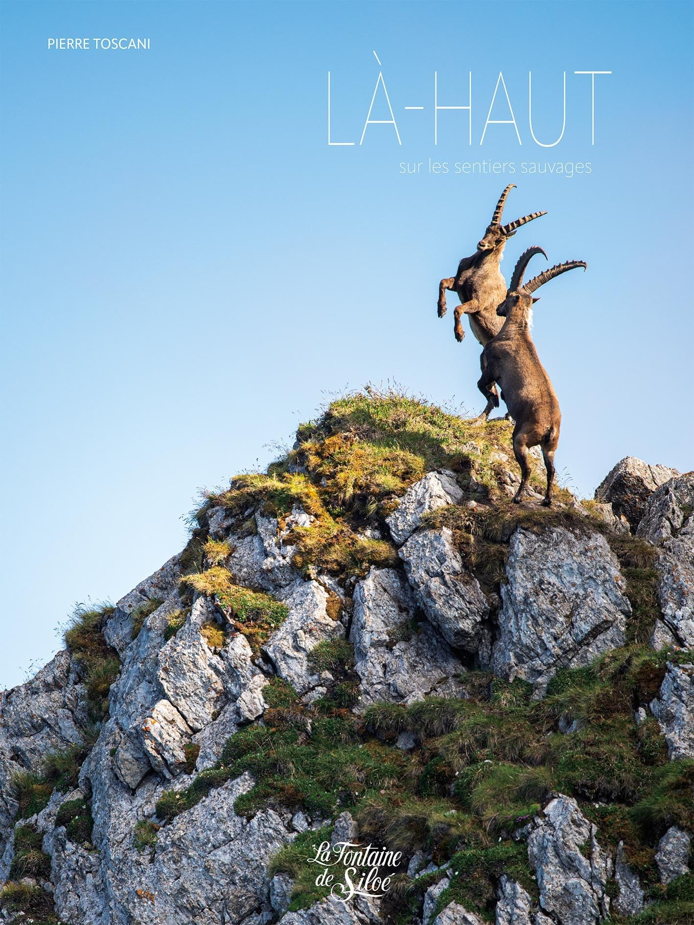 Là-haut : sur les sentiers sauvages