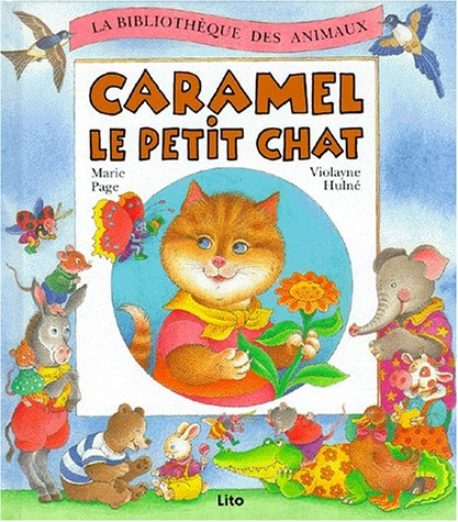 Caramel le petit chat