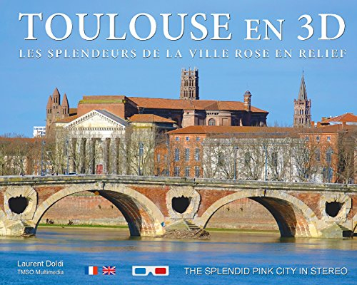 Toulouse en 3D : les splendeurs de la ville rose en relief. Toulouse en 3D : the splendid pink city 