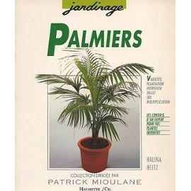 palmiers