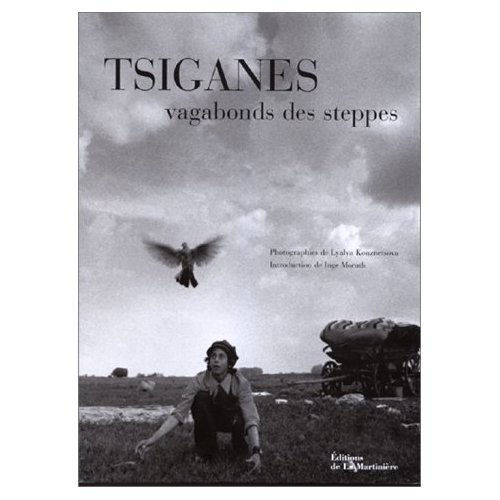 Tsiganes vagabonds des stepppes