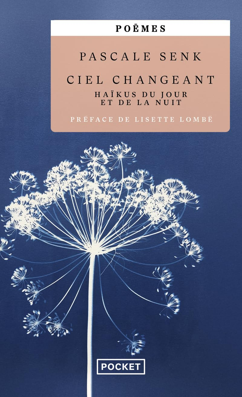 Ciel changeant : haïkus du jour et de la nuit