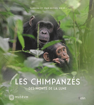 Les chimpanzés des Monts de la Lune