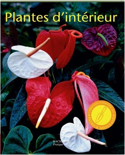 Plantes d'intérieur : les conseils d'une spécialiste pour l'achat, l'entretien et la multiplication