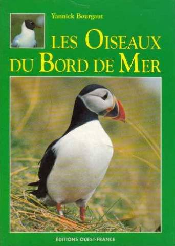Les oiseaux du bord de mer