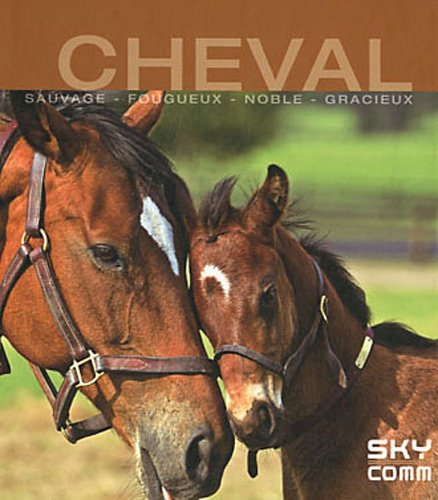 Une vie de cheval