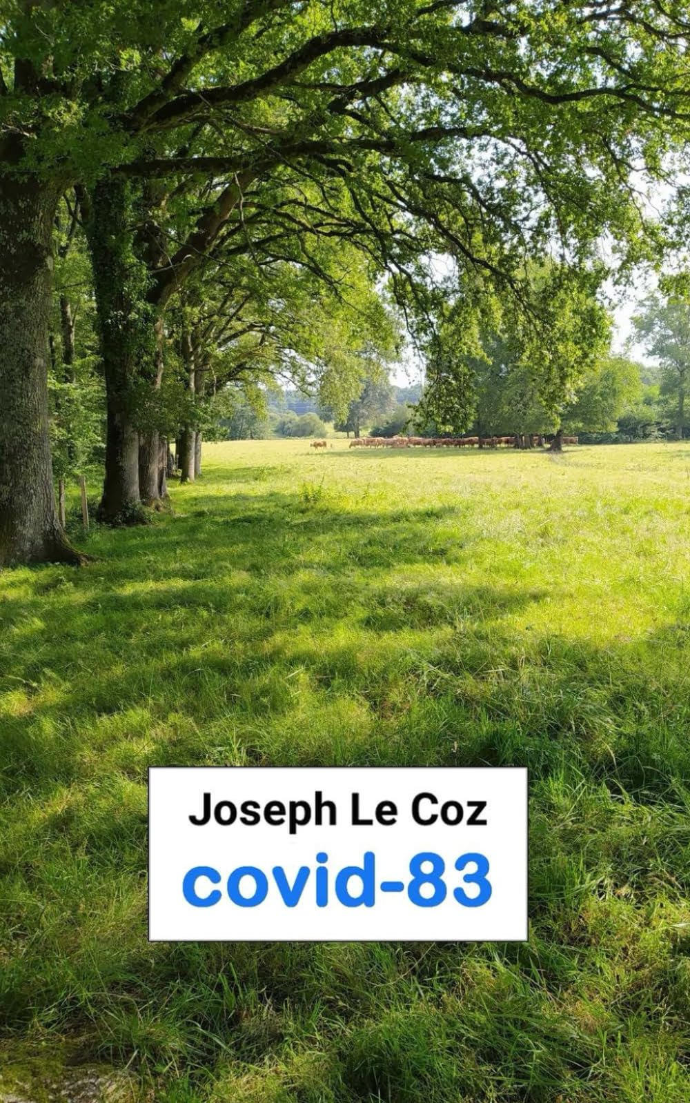 Covid-83: Journal intime (janvier 2020 - juillet 2022)