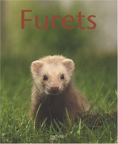 Furets