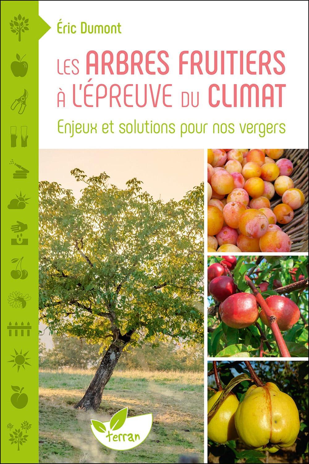 Les arbres fruitiers à l'épreuve du climat : enjeux et solutions pour nos vergers