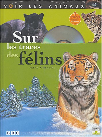 Sur les traces des félins