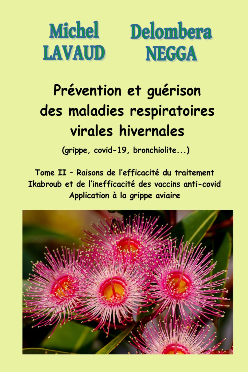 Prévention et guérison des maladies respiratoires virales hivernales (grippe, covid-19, bronchiolite