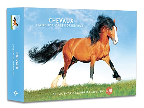 Chevaux : l'agenda-calendrier 2021
