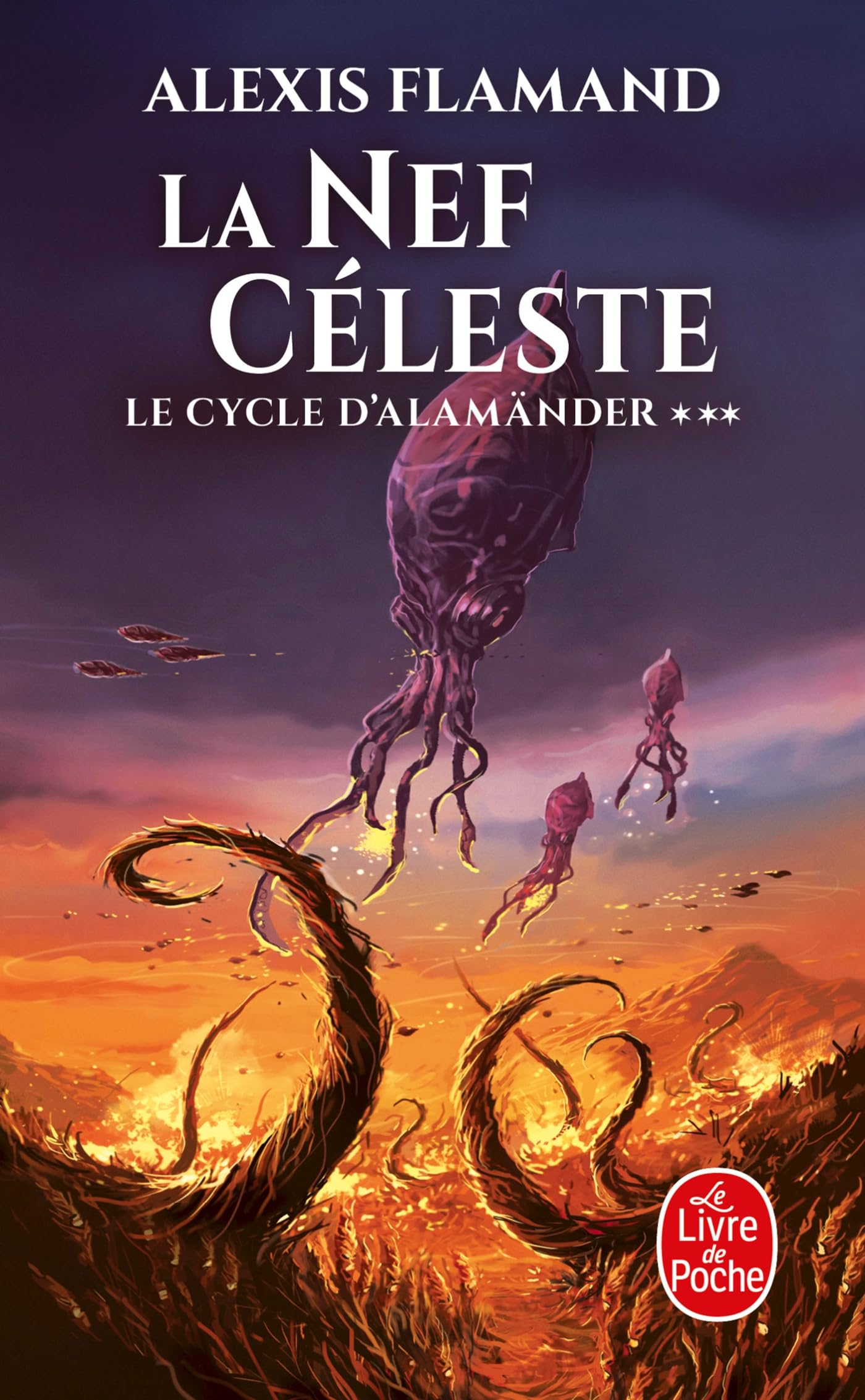 Le cycle d'Alamänder. Vol. 3. La nef céleste