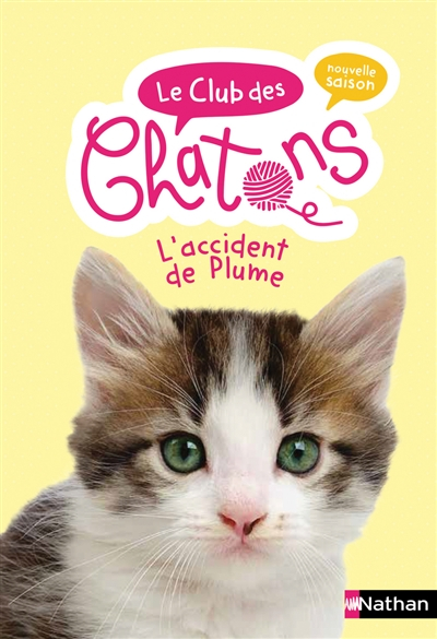 Le club des chatons : nouvelle saison. Vol. 10. L'accident de Plume