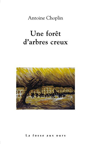 Une forêt d'arbres creux
