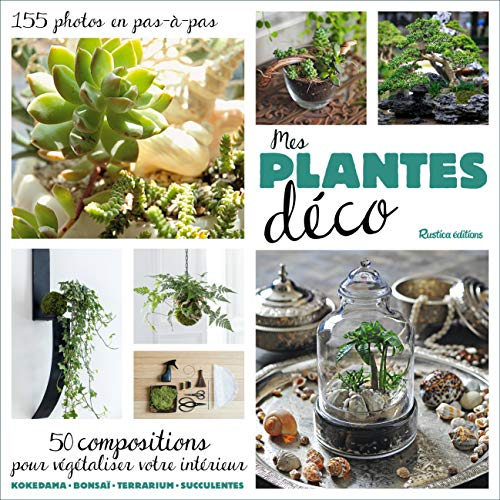 Mes plantes déco : 50 compositions pour végétaliser votre intérieur, 155 photos en pas-à-pas : koked