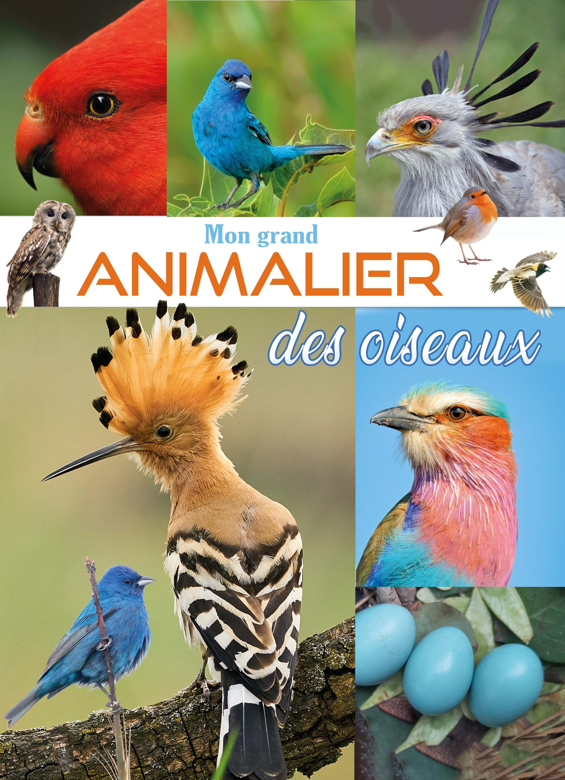 Mon grand animalier des oiseaux