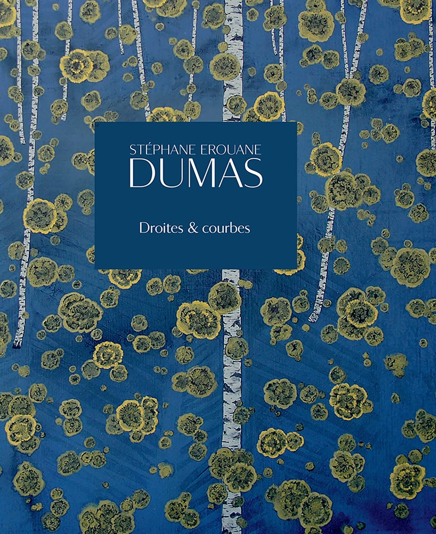Stéphane Erouane Dumas : droites & courbes