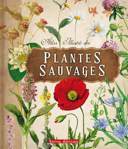 Atlas illustré des plantes sauvages