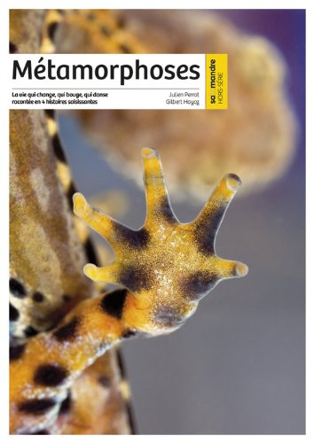 Salamandre, hors série (La), n° 1. Les métamorphoses