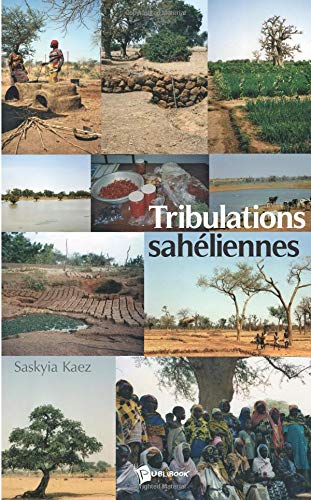 Tribulations sahéliennes