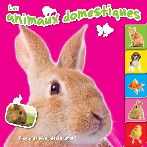 Les animaux domestiques : les lapins