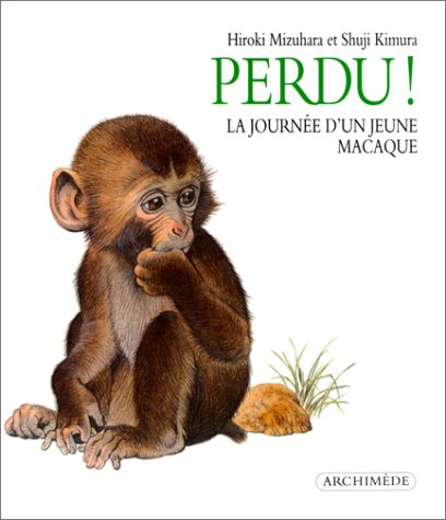 perdu ! la journée d'un jeune macaque