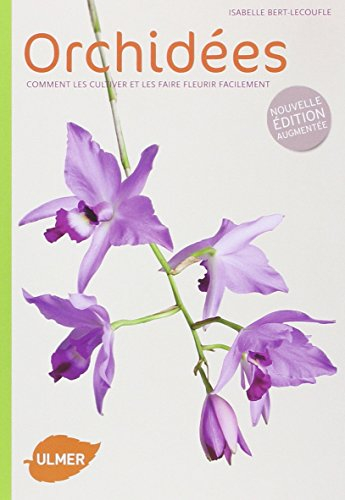 Orchidées : comment les cultiver et les faire fleurir facilement