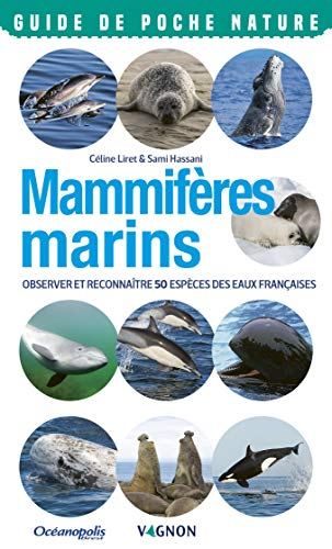 Mammifères marins : observer et reconnaître 50 espèces des eaux françaises
