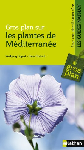 Plantes de Méditerranée