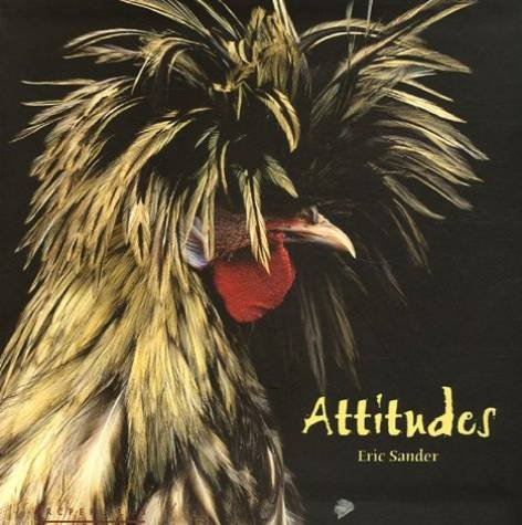Attitudes