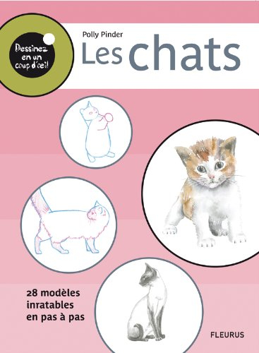 Les chats : 28 modèles inratables en pas à pas
