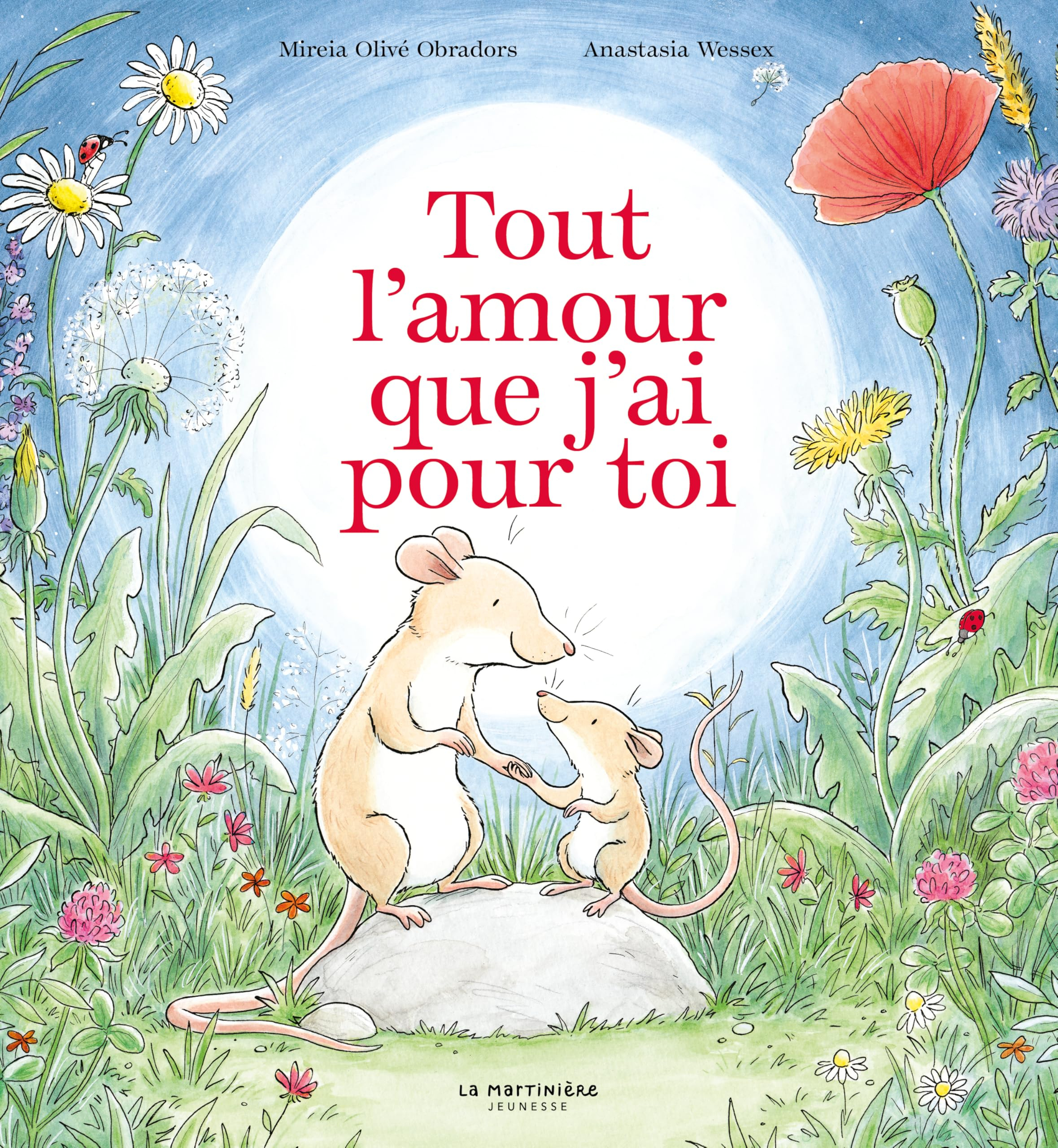 Tout l'amour que j'ai pour toi