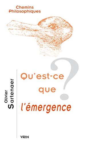 Qu'est-ce que l'émergence ?