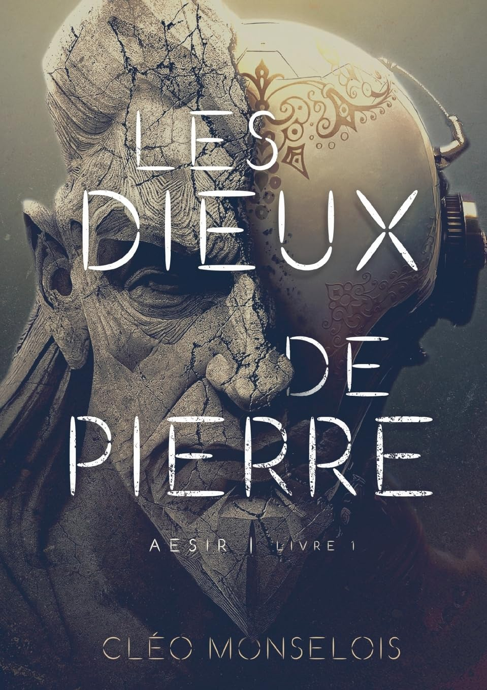 Les Dieux de Pierre : Aesir : Livre 1
