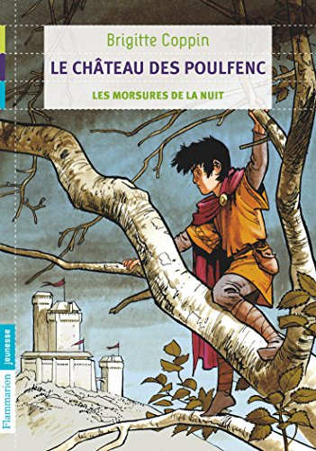 Le château des Poulfenc. Vol. 1. Les morsures de la nuit