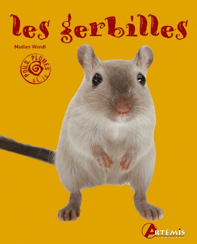 Les gerbilles