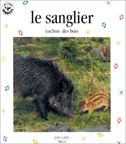 le sanglier, cochon des bois