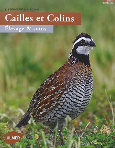 Cailles et colins : élevage et soins