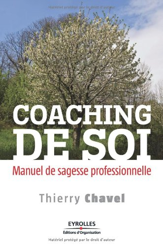Coaching de soi : manuel de sagesse professionnelle