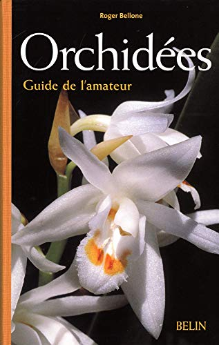 Orchidées : guide de l'amateur