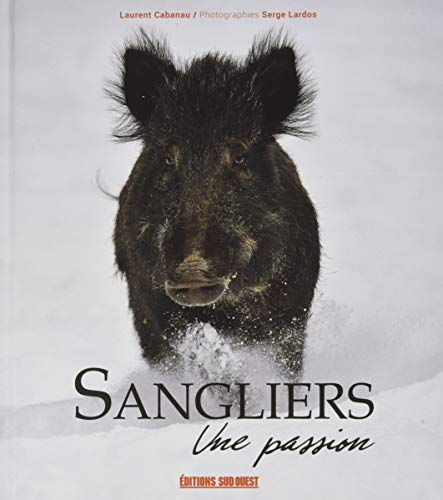 Sangliers : une passion