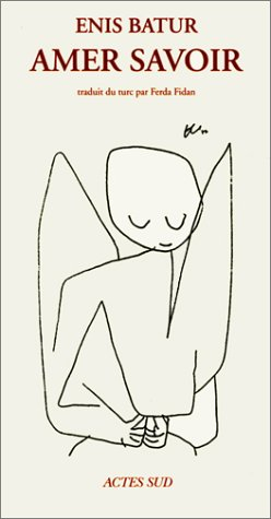 Amer savoir : une tentative de roman sur l'art de la fugue