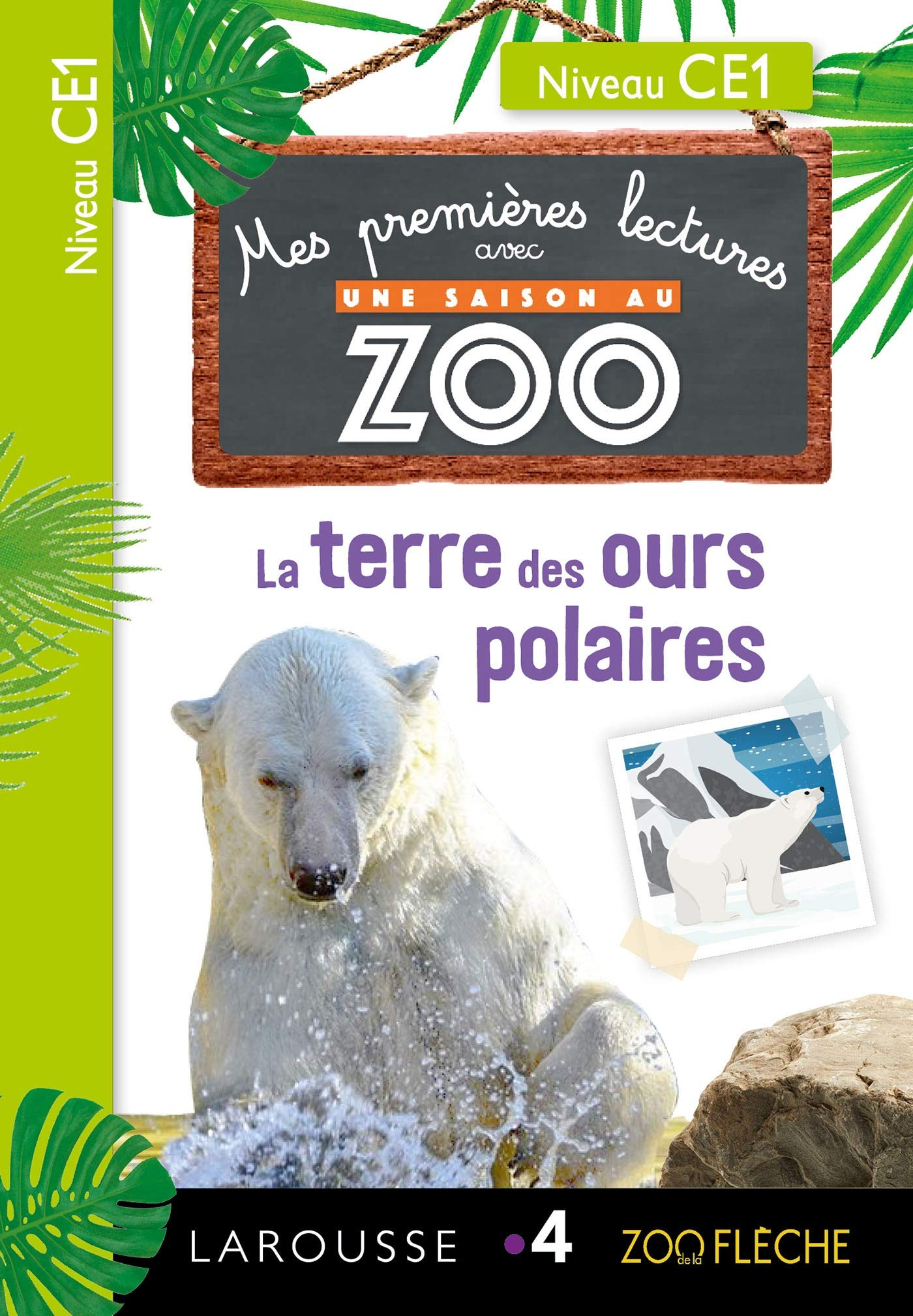 La terre des ours polaires : niveau CE1