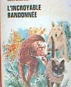 l'incroyable randonnée - illustrations de michel gourlier