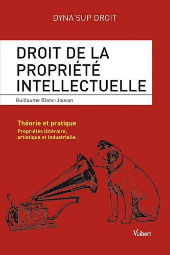 Droit de la propriété intellectuelle : théorie et pratique : propriétés littéraire, artistique et in