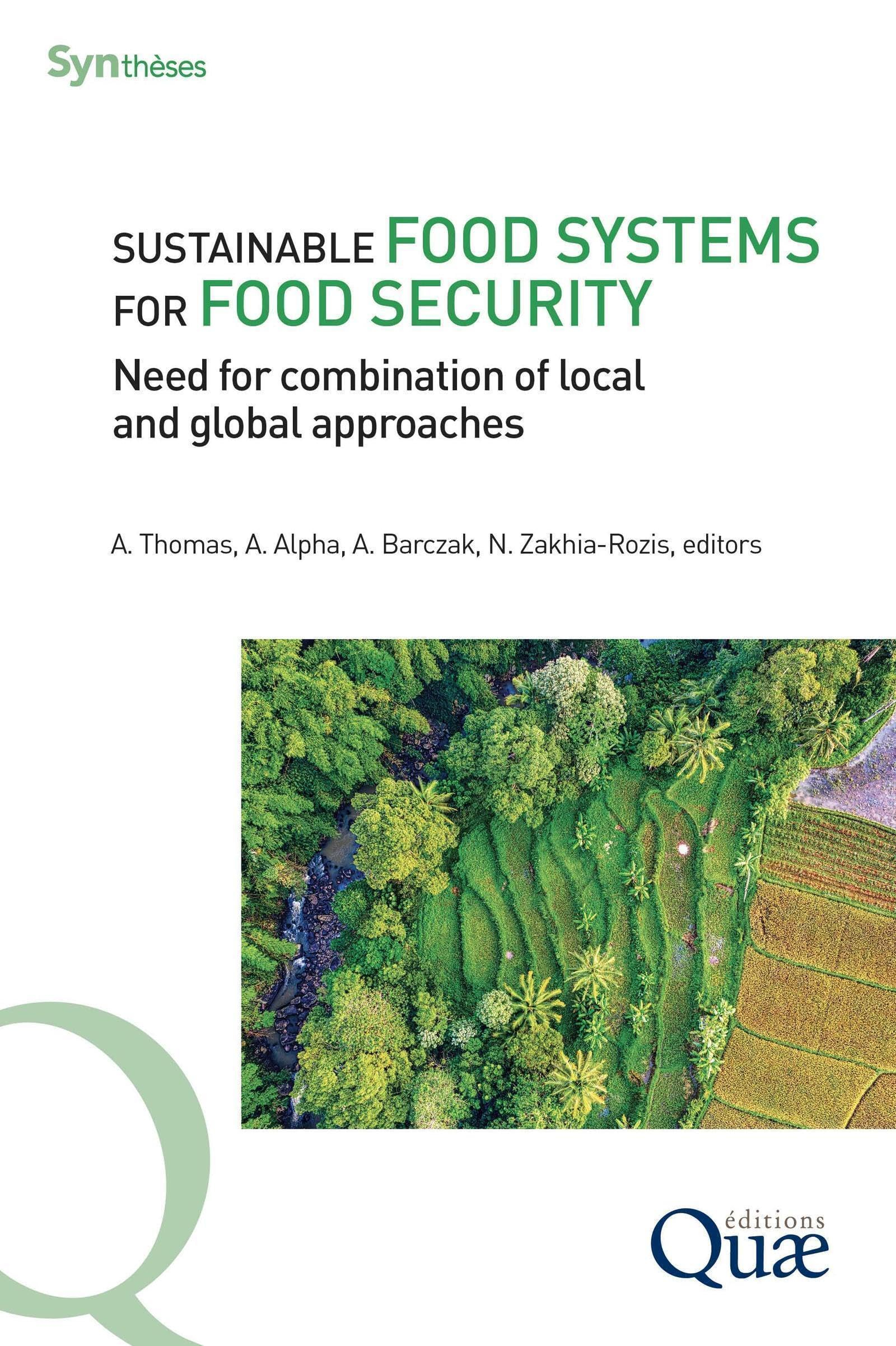 Sustainable food systems for food security: Need for combination of local and global approaches