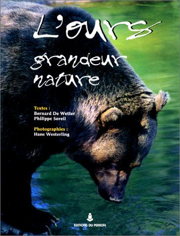 L'ours grandeur nature