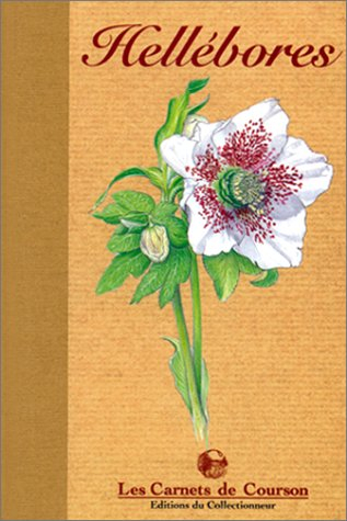 Les hellébores